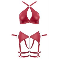 Ensemble BDSM bordeaux - Cotelli Bondage