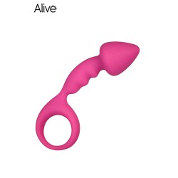 Set plaisir anal 4 accessoires