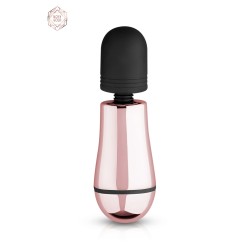Stimulateur clitoridien Womanizer Pro rouge