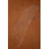 Huile sèche brillante cheveux et corps - 30ml