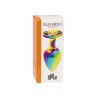 Plug bijou arc-en-ciel L - Litolu