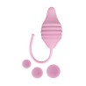 Pelvix Concept - Femintimate
